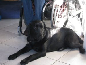 Coco assisting with Blumil electric wheelchair