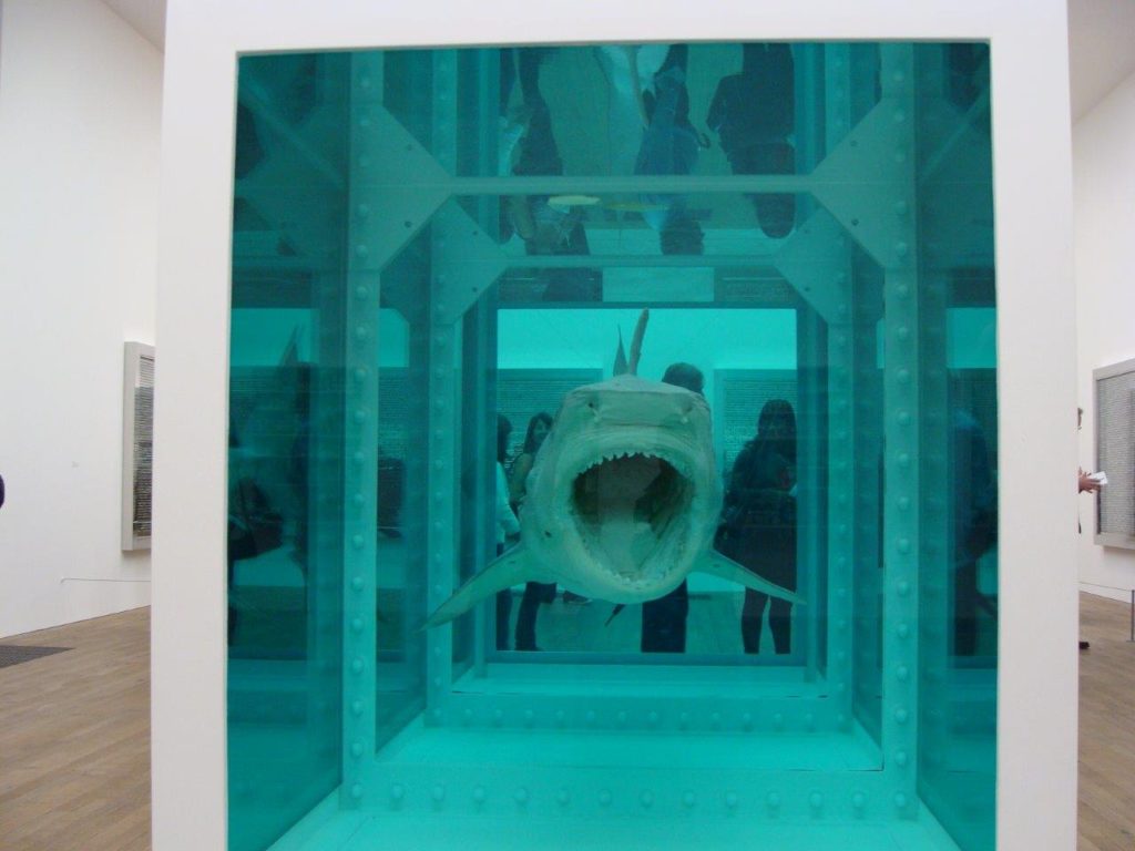 Damien Hirst, Shark Exhibition, The Physical Impossibility of Death in the Mind of Someone Living