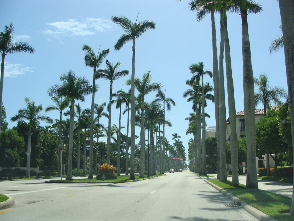 Florida, Palms, Blumil wheelchair, accessibility rating, wheelchair friendly Florida, road trip around the state