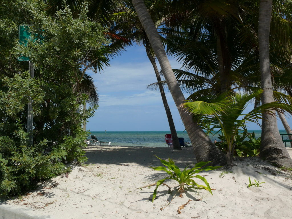 Beach life, accessible travel, Key west beach, Florida, USA, Blumil wheelchair 