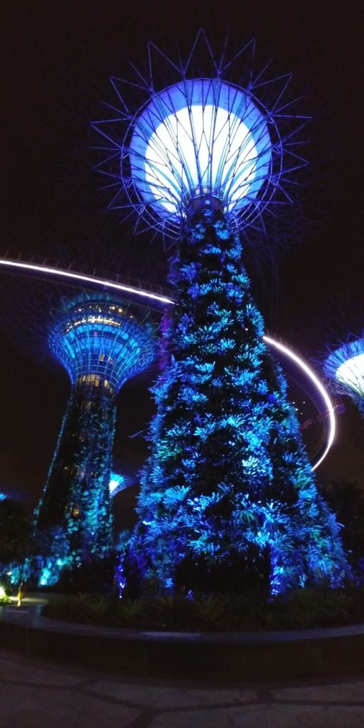 Singapore, gardens by the Bay, accessible travel, wheelchair friendly travel, electric wheelchair