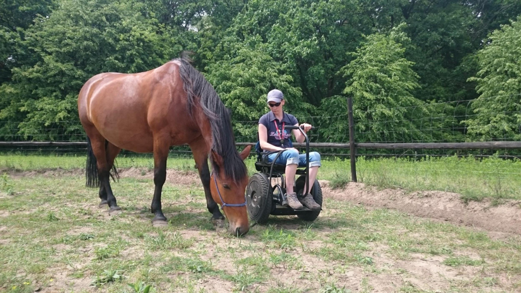 Blumil electric wheelchair, Blumil users, all-terrain wheelchair