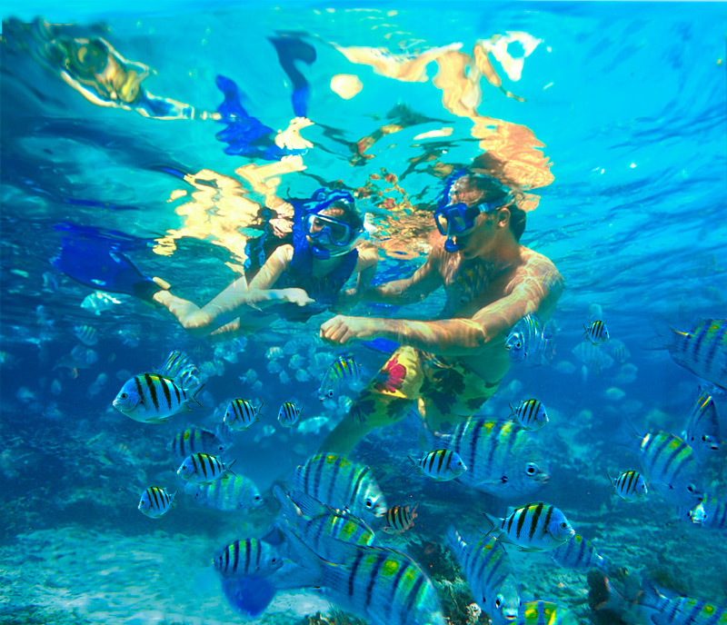 snorkeling, electric wheelchair, sports for wheelchair users