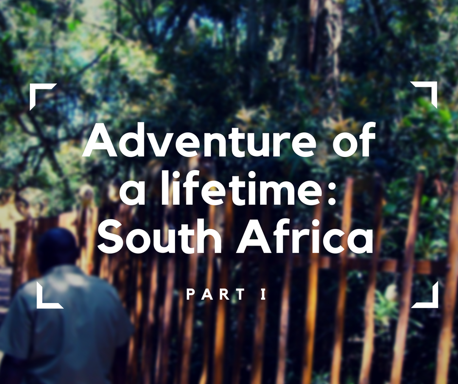 Adventure of a lifetime- South Africa, accessible travelling, travel with a wheelchair