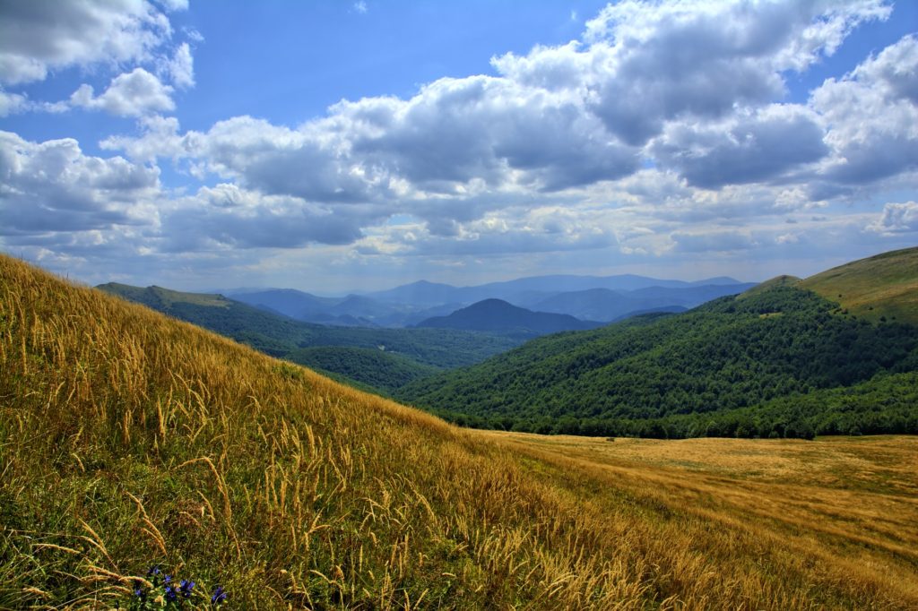 Bieszczady Mountains, Polish Mountains, Poland for wheelchair users, accessible Poland, accessibility in Poland, electric wheelchair, off-road wheelchair, all-terrain wheelchair